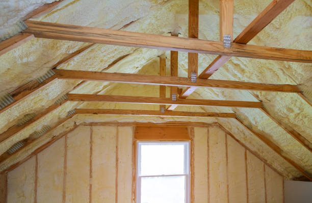 Professional Insulation Contractor in IL