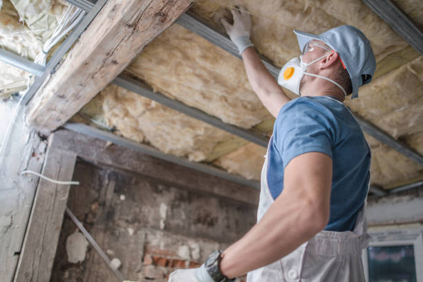 Best Insulation Maintenance and Repair in Carpentersvle, IL