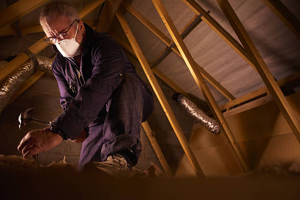 Best Residential Insulation in Carpentersvle, IL